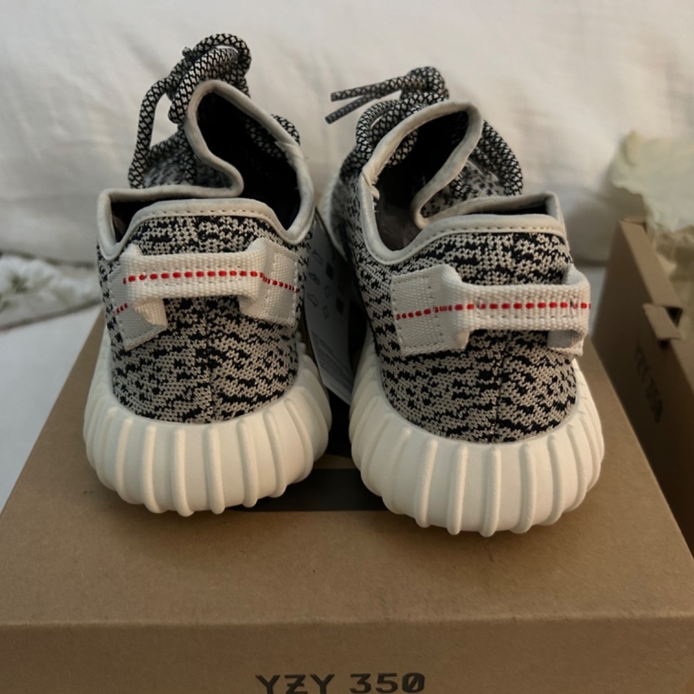 Yeezy Boost 350 Turtle - Picture 11 of 14